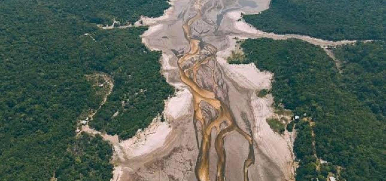 Mais de 600 mil pessoas são afetadas por seca no Amazonas 