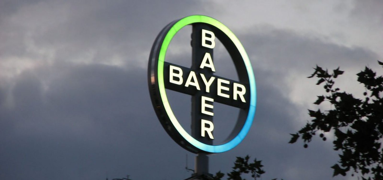 Farmacêutica Bayer deve pagar R$ 7,59 bilhões em casos de câncer envolvendo herbicida nos EUA