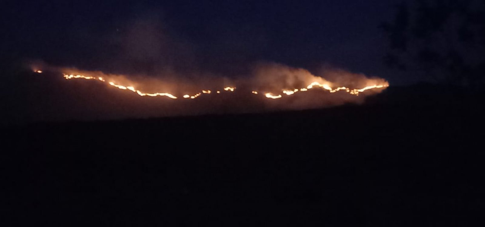 Incêndios florestais atingem a Chapada Diamantina; focos são registrados na região desde agosto