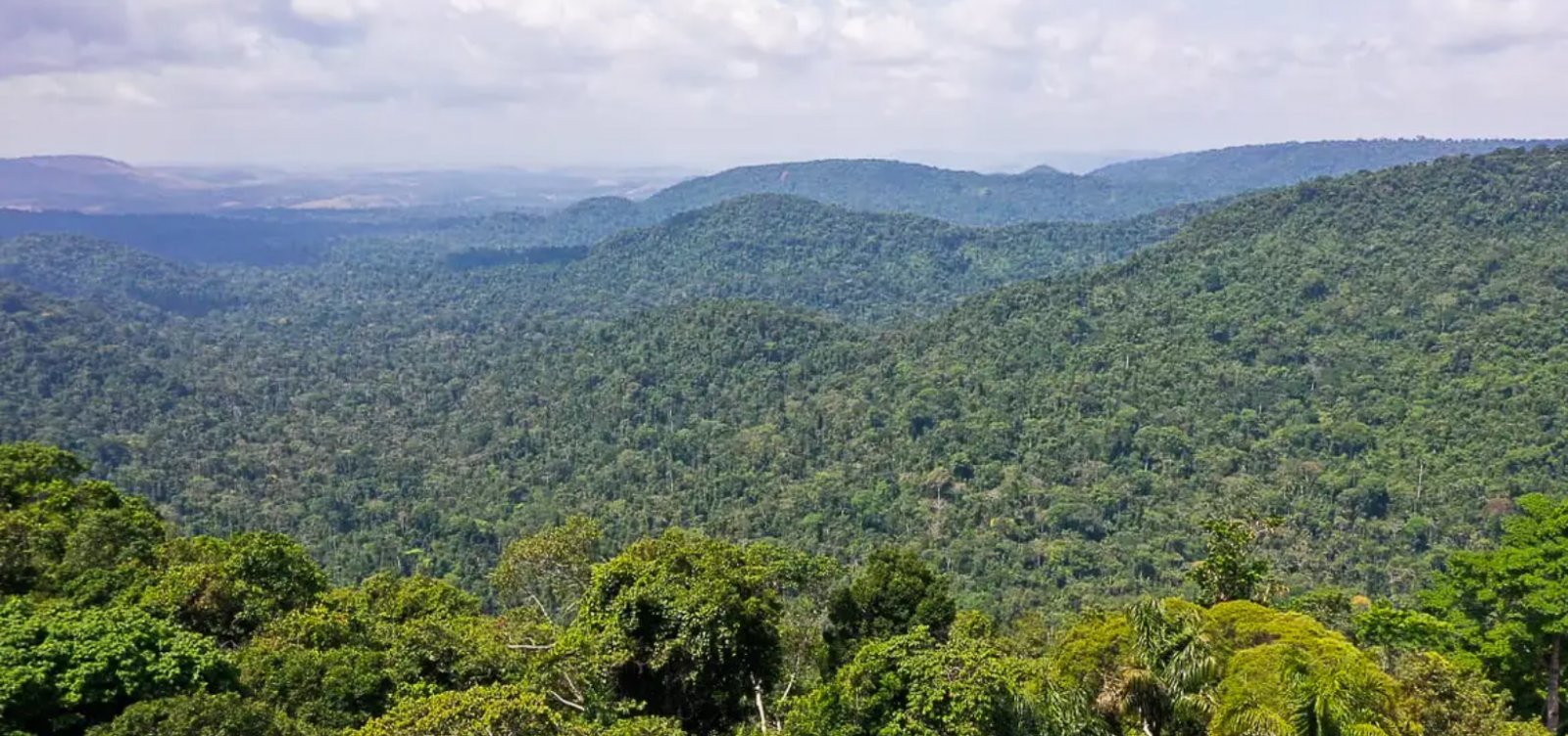 COP28 escolhe Brasil como sede da Conferência do Clima de 2025 Metro 1