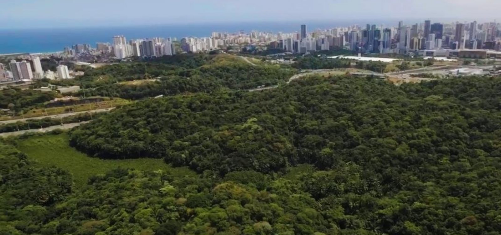 Projeto da prefeitura põe em risco mais de 100.000 m² de área verde em Salvador