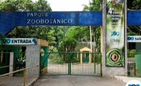 Zoológico de Salvador suspende visitações para manutenção a partir desta terça