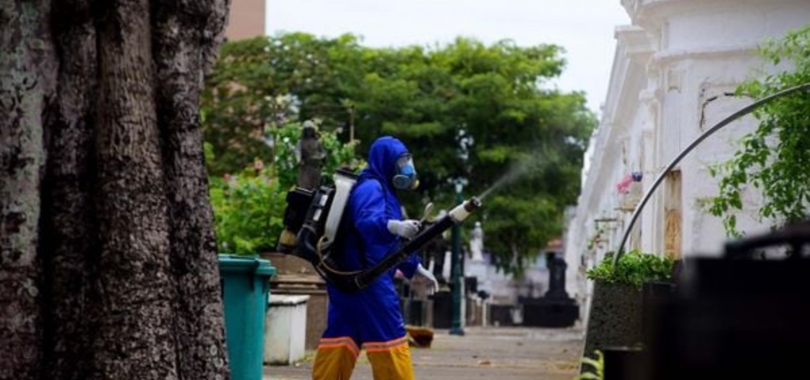 Terceira morte por dengue é registrada na Bahia e 23 cidades estão em estado de epidemia