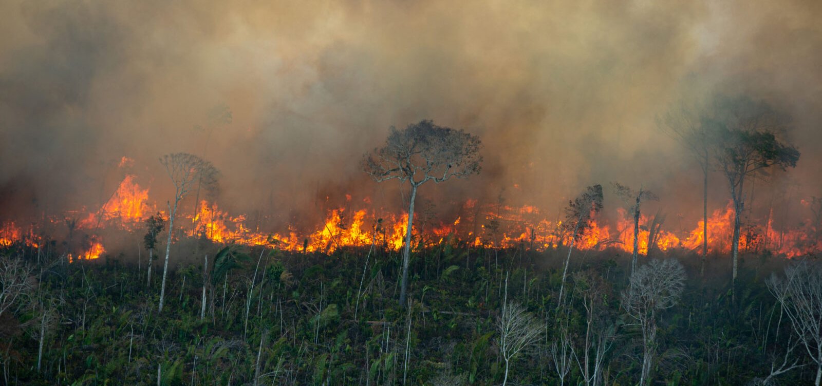 Inpe registra quase 3 mil focos de incêndio na Amazônia em fevereiro 