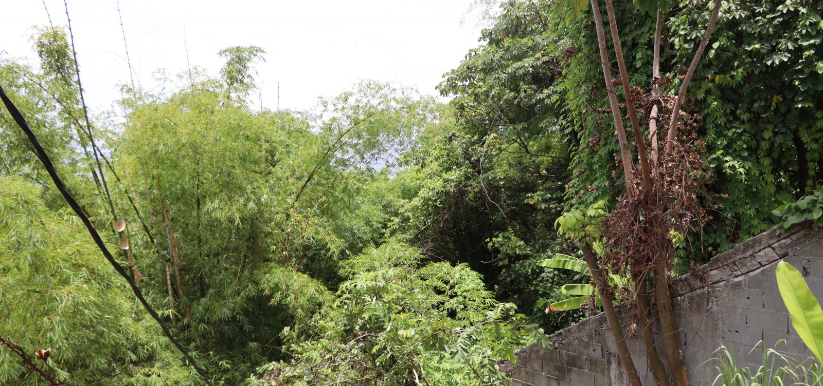 Leilões de áreas verdes desafetadas pela prefeitura serão realizados entre dia 7 e 15 de março