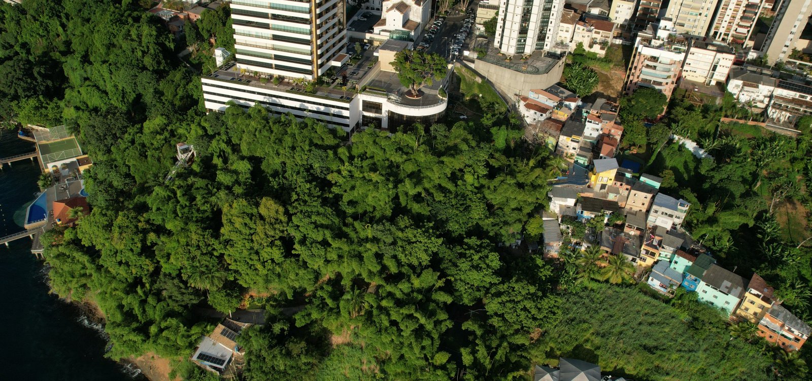 Antes de leilão de área verde ser suspenso, Conselho já havia tentado diálogo com a prefeitura e foi ignorado