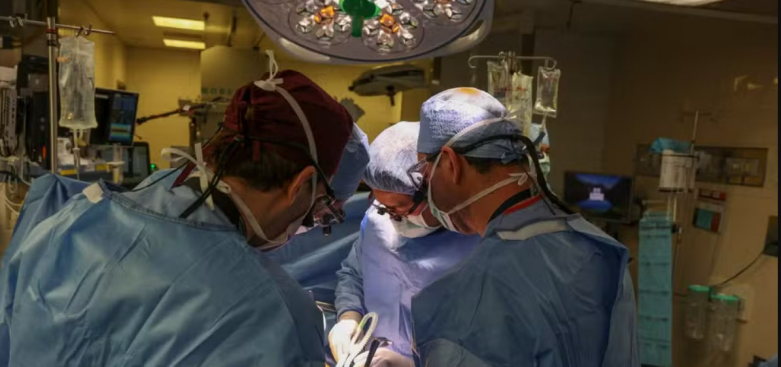 Médico brasileiro lidera 1º transplante de rim de porco para humano, nos EUA 