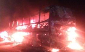 Ônibus fica totalmente destruído após incêndio na BR-242