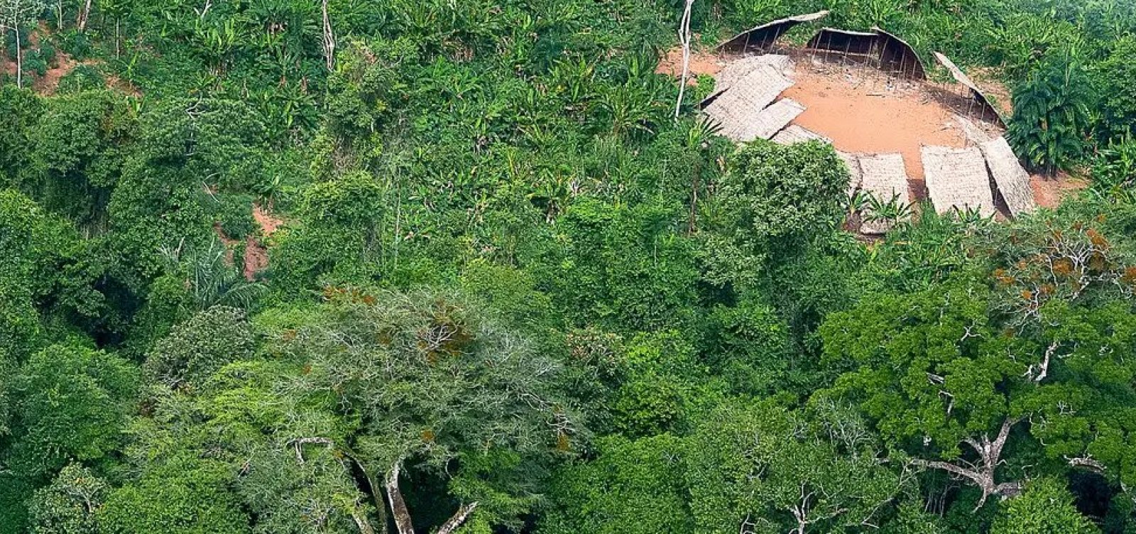 Desmatamento na Amazônia cai 42% no primeiro trimestre de 2024