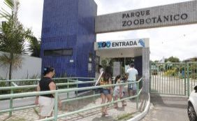 Após quase uma semana fechado, zoológico de Salvador é reaberto