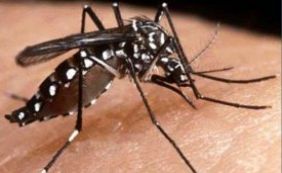 Ministério da Saúde afirma que vacina não vai acabar com a dengue