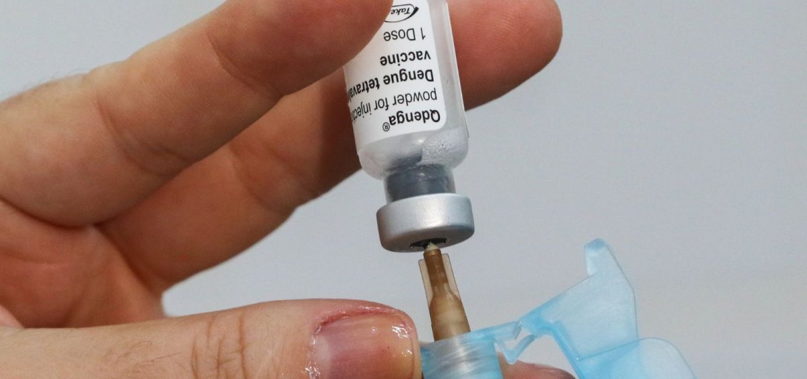 Vacinação contra dengue é retomada nesta quinta-feira em Salvador