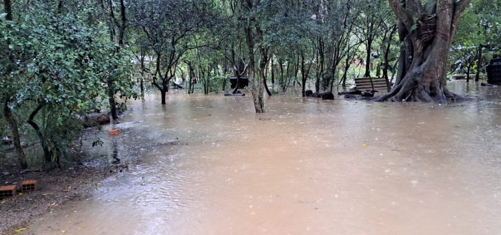 Cerca de 80 comunidades indígenas são afetadas pelas enchentes no RS 