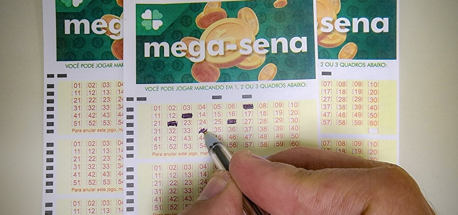 Mega-Sena vai sortear R$ 2,5 milhões nesta terça-feira 