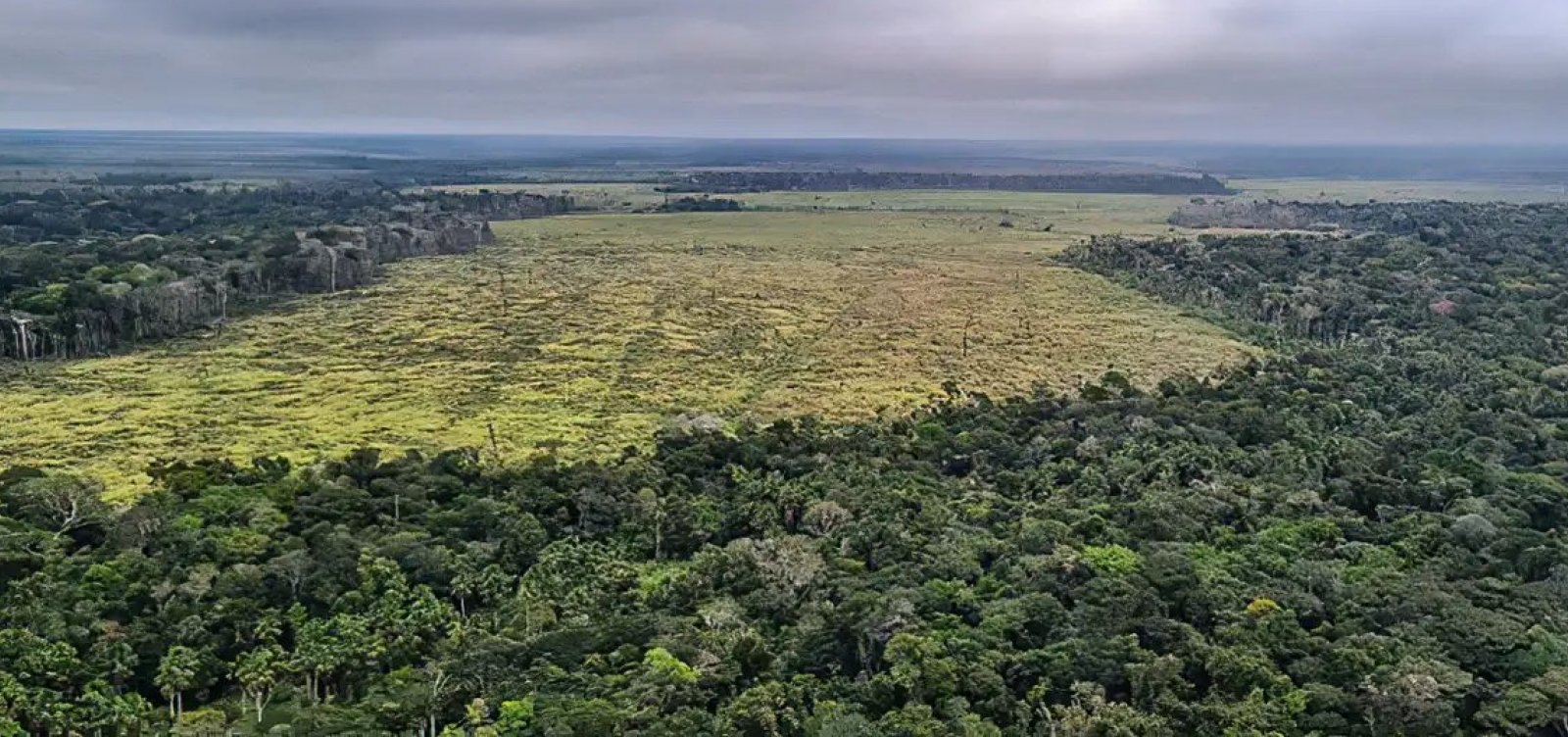 Pará registra queda de 21% no desmatamento, segundo o Inpe