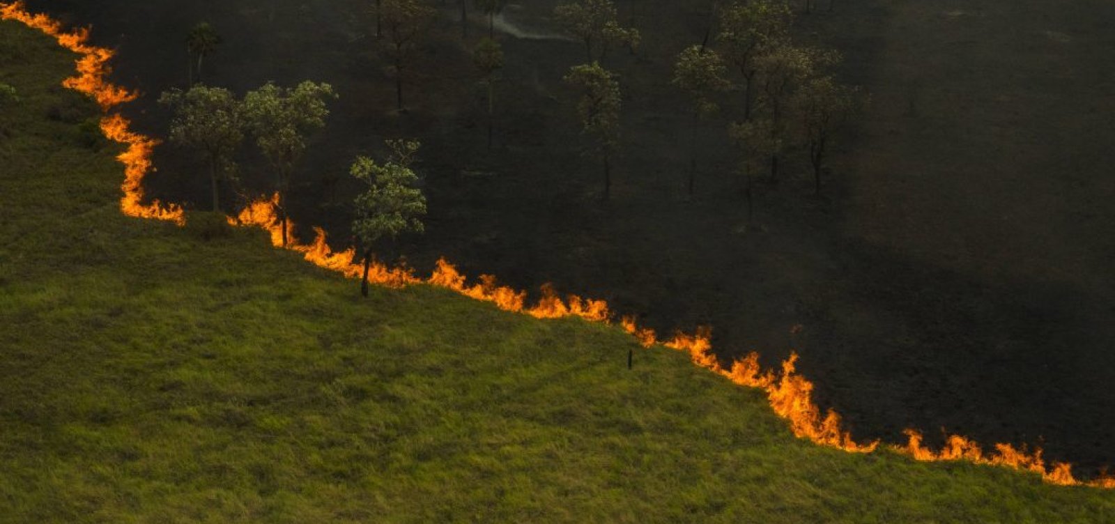 Pantanal tem 900% de aumento nos focos de queimadas em 2024
