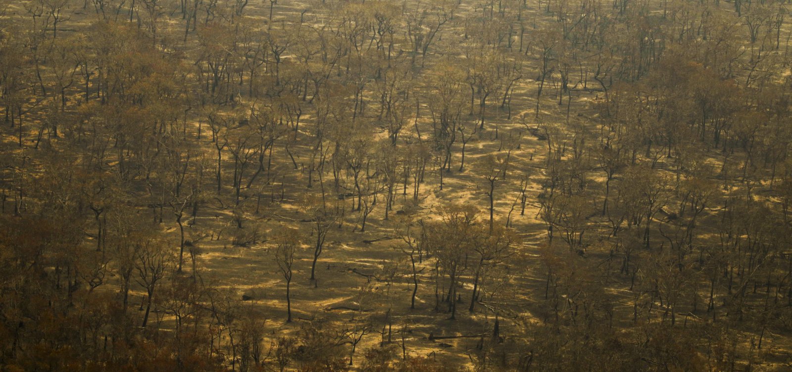 Governo decide criar sala de crise para combate a incêndios e seca no Brasil