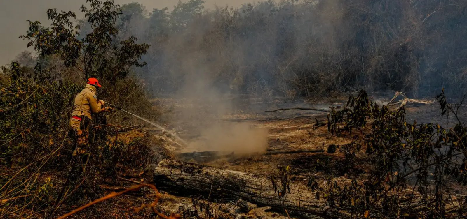 Governo Federal firma pacto com estados para combate a incêndios e seca no Pantanal
