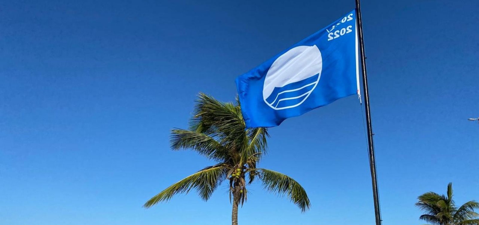Praias na Bahia são indicadas para renovação da Bandeira Azul