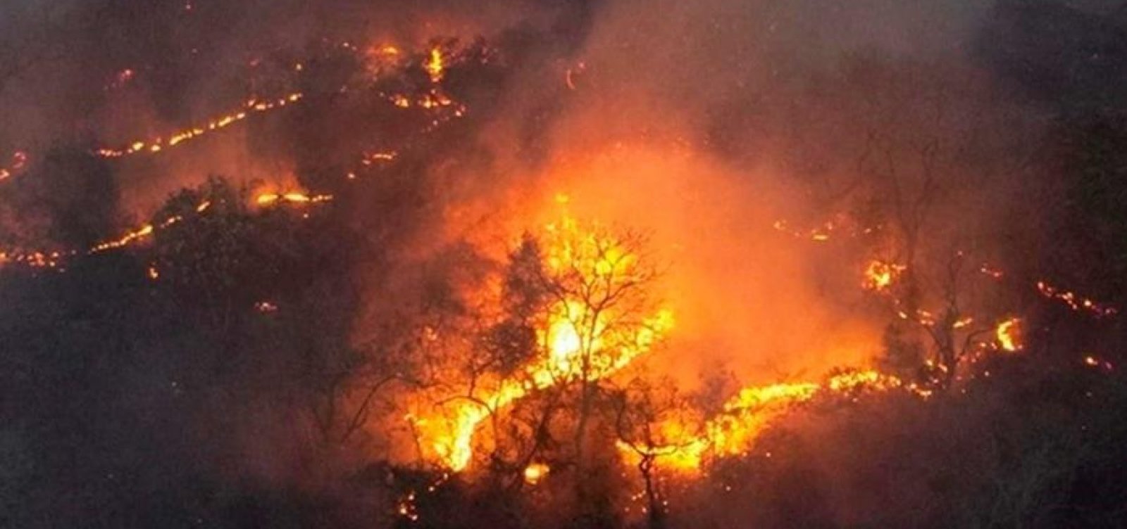 Força Nacional irá atuar no combate aos incêndios no Pantanal 