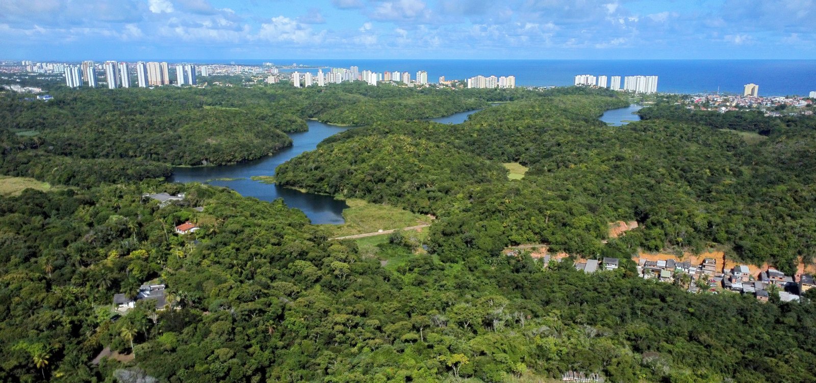 Reserva de resistência: Há 50 anos enfrentando especulação imobiliária, Parque de Pituaçu vai passar por revitalização