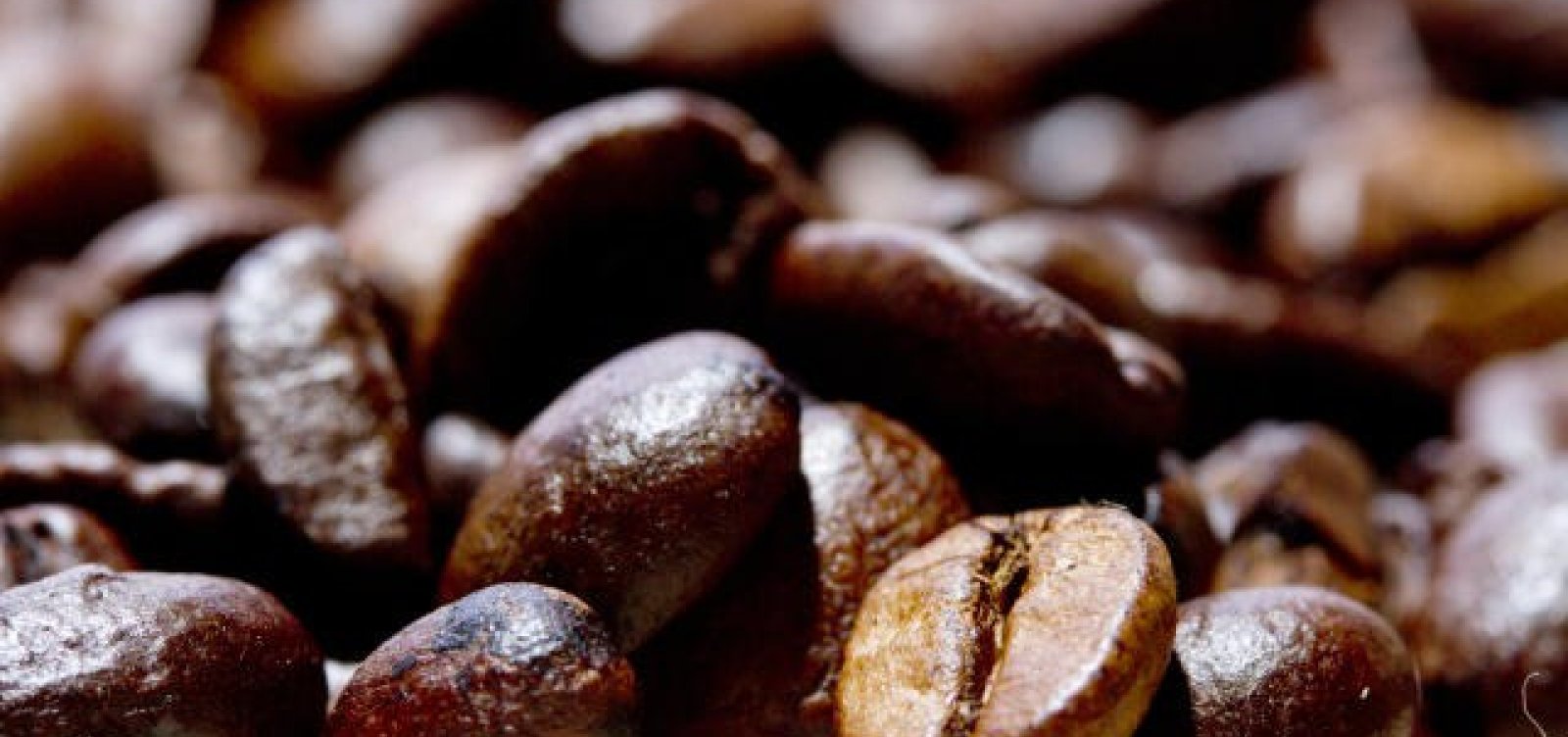 Ministério da Agricultura revela lista de marcas e lotes de café impróprios para consumo