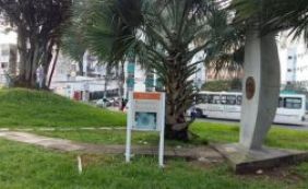 Prefeitura promete licitação para monumento Mestre Bimba neste semestre