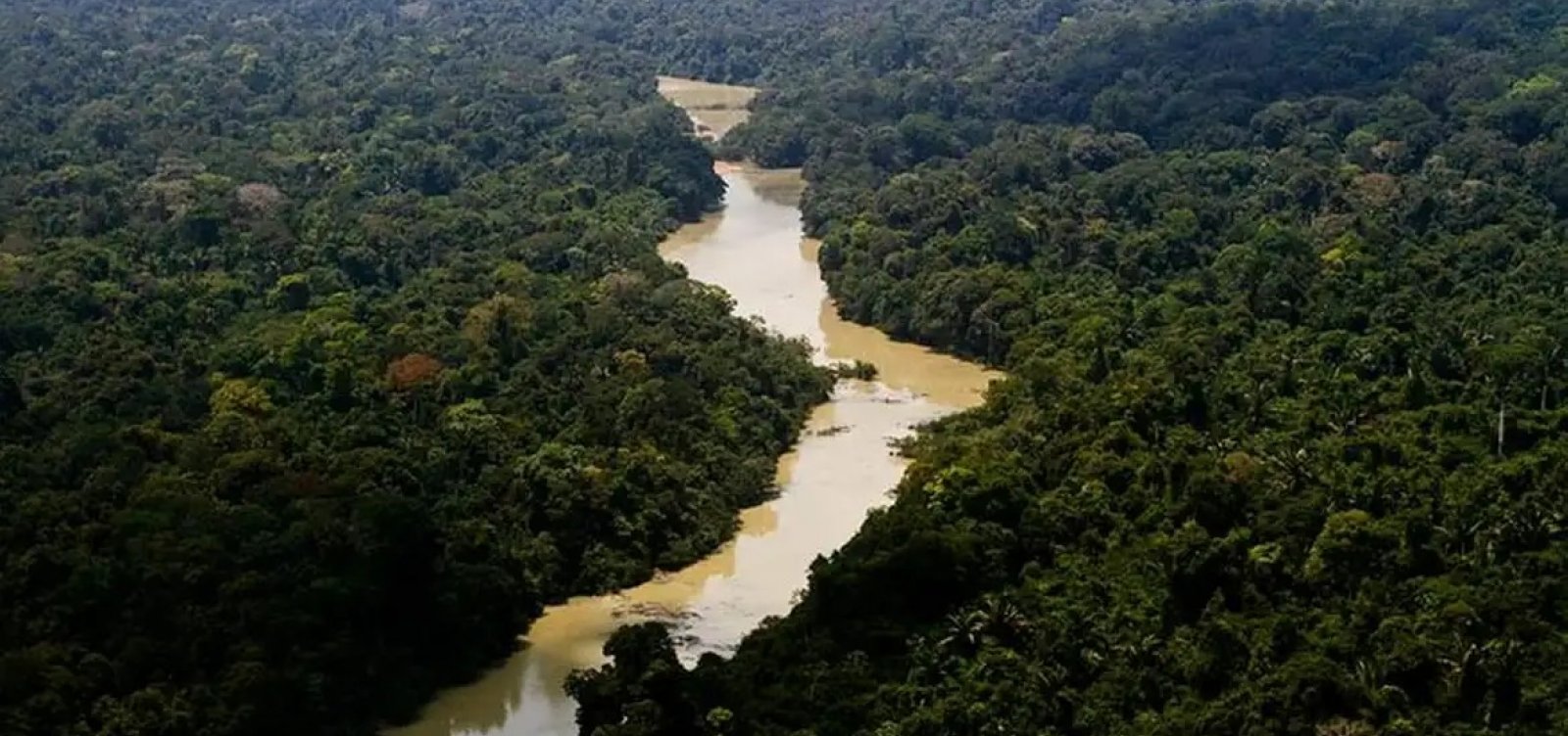 EUA anunciam nova contribuição de US$ 47 milhões para o Fundo Amazônia