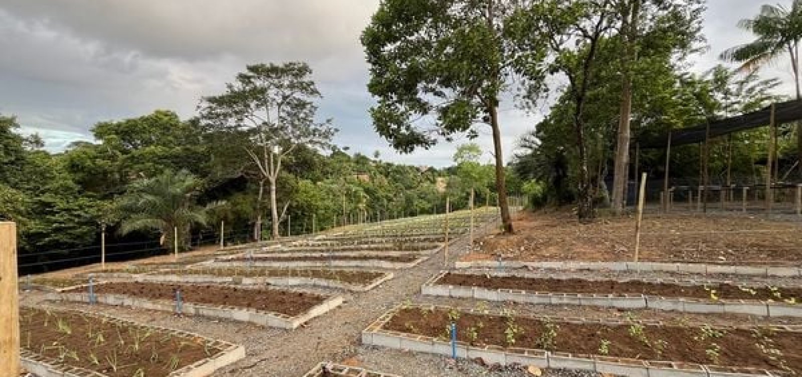 Salvador ganha primeira Horta Comercial Agroecológica que deve produzir 3 mil hortaliças
