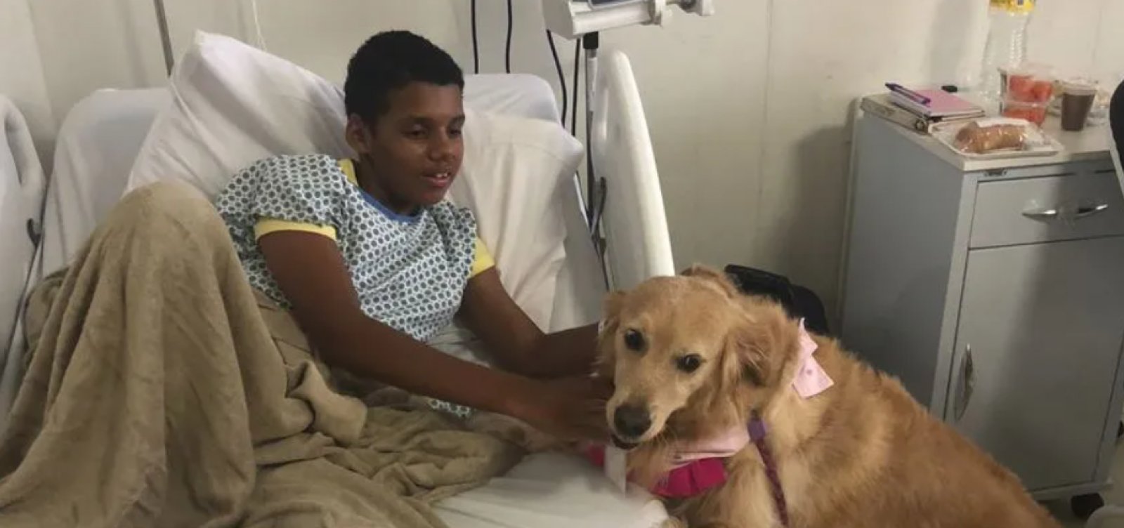 Hospital Ortopédico do Estado passa a contar com terapia assistida por animais