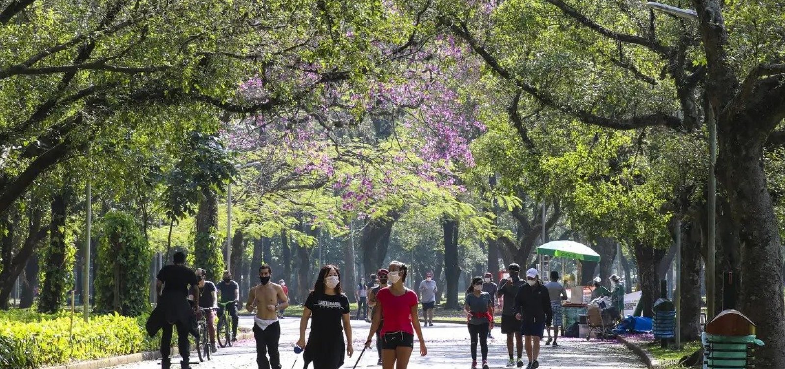 Só 6,9% das áreas urbanas do país são cobertas por vegetação, aponta pesquisa