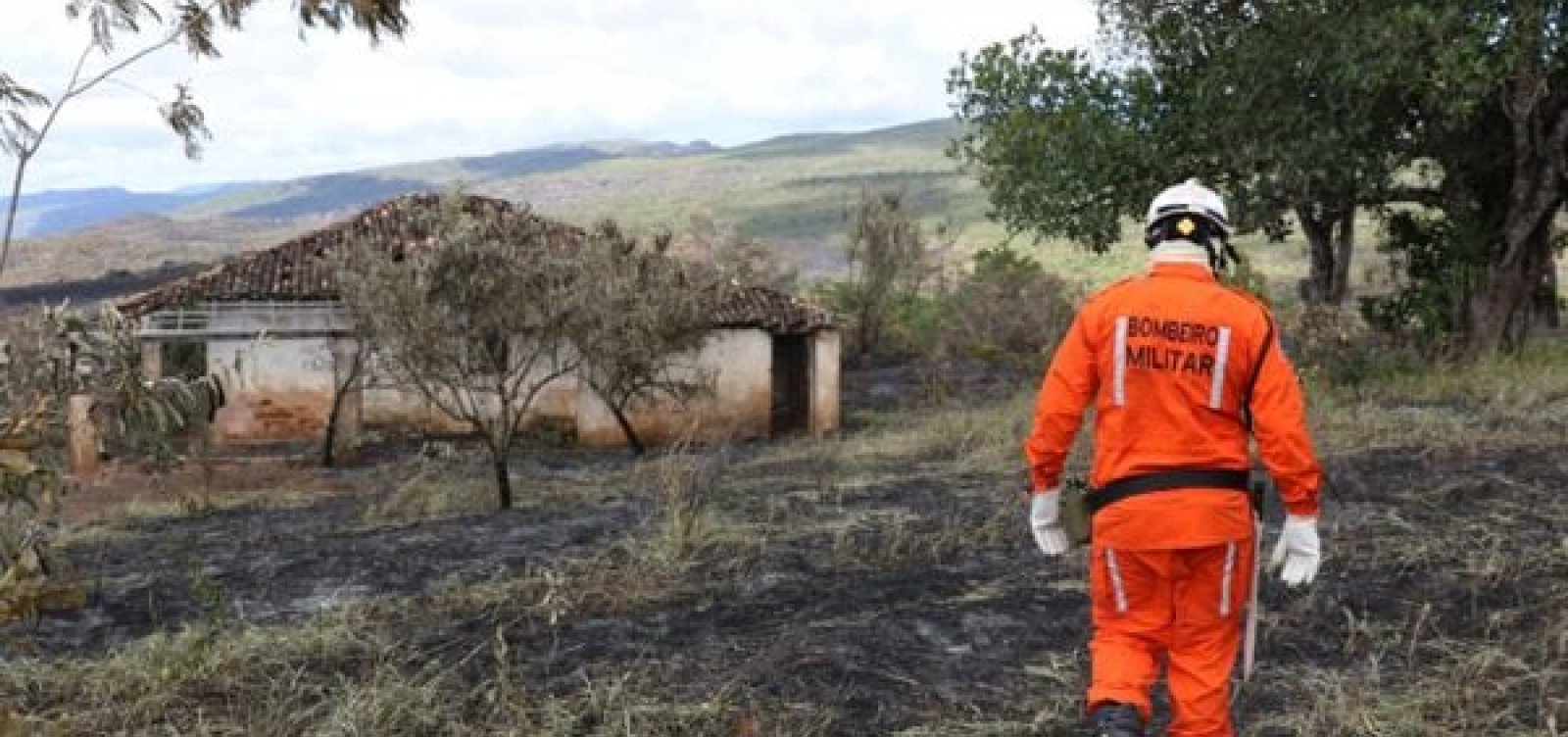 Mais de 510 mil hectares foram queimados em incêndios florestais na Bahia em 2023
