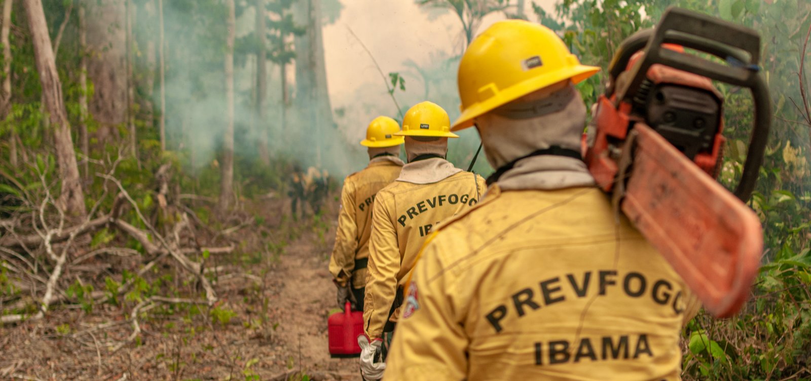 Amazonas registra quase 3 mil focos de queimadas nos primeiros dez dias de agosto, aponta Inpe