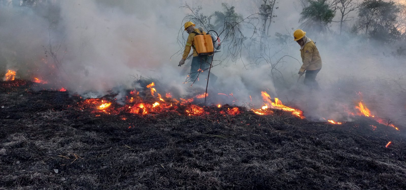 Bolívia pede ajuda ao Brasil para combater incêndios florestais