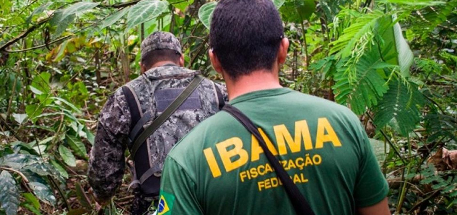 Servidores do Ibama entram em acordo com o governo para encerramento da greve