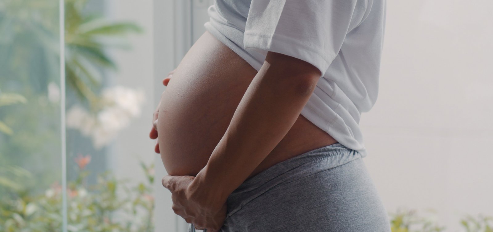 Barriga de aluguel ou barriga solidária? Entenda o que é permitido no Brasil