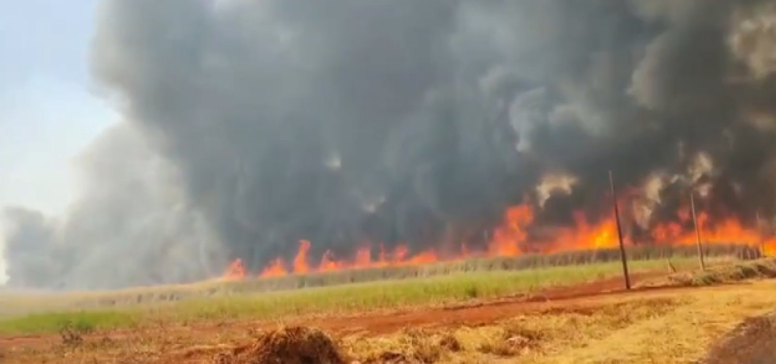 Sobe para dez número de presos por incêndios em São Paulo