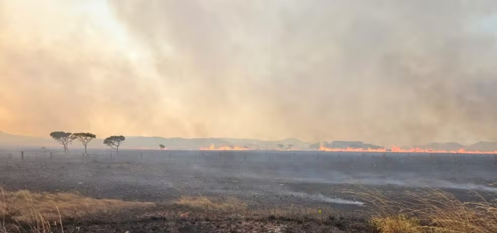 Chapada dos Veadeiros tem 10 mil hectares destruídos por incêndio