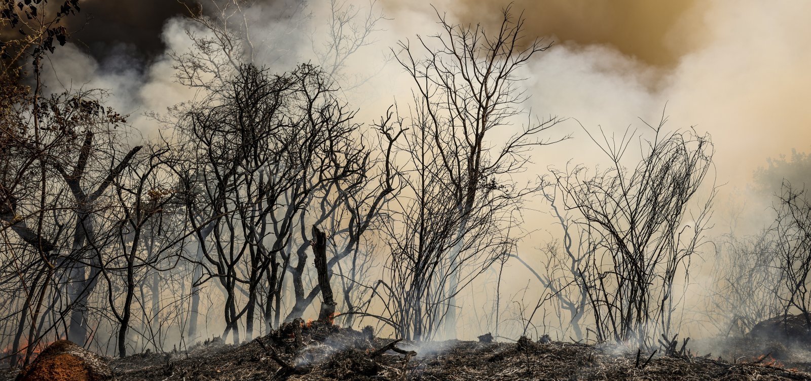 Ipec: 44% avaliam como ruim ou péssima gestão de Lula no meio ambiente; 27% acham ótima ou boa