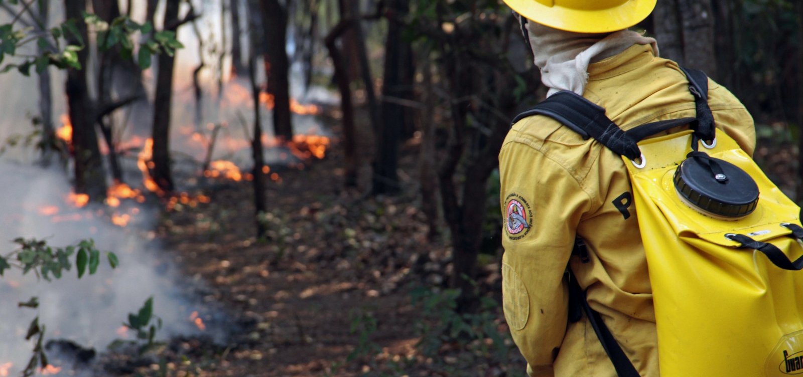 Todas as regiões do Brasil apresentam pontos de risco para incêndios, diz Inmet