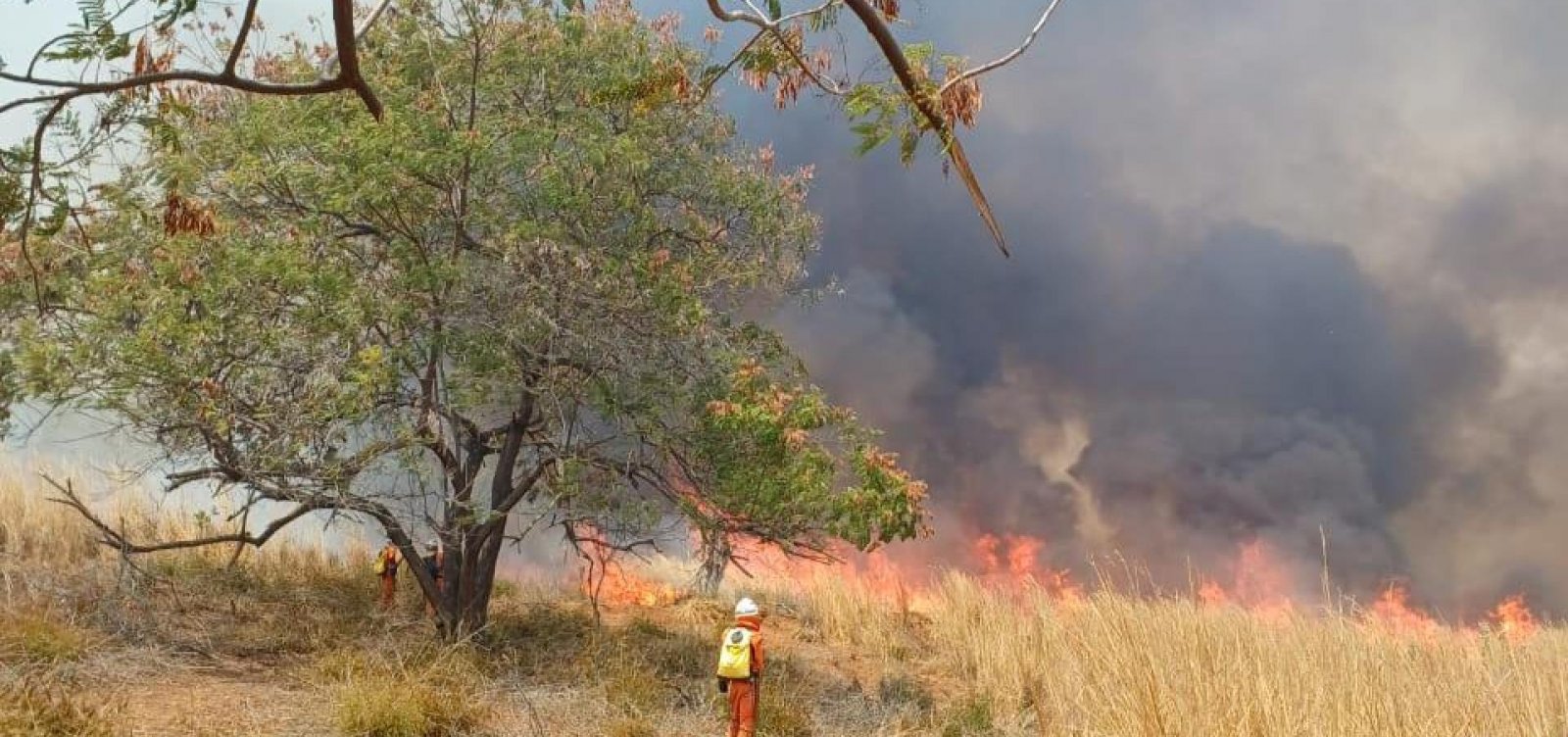 Incêndio no oeste da Bahia persiste há um mês