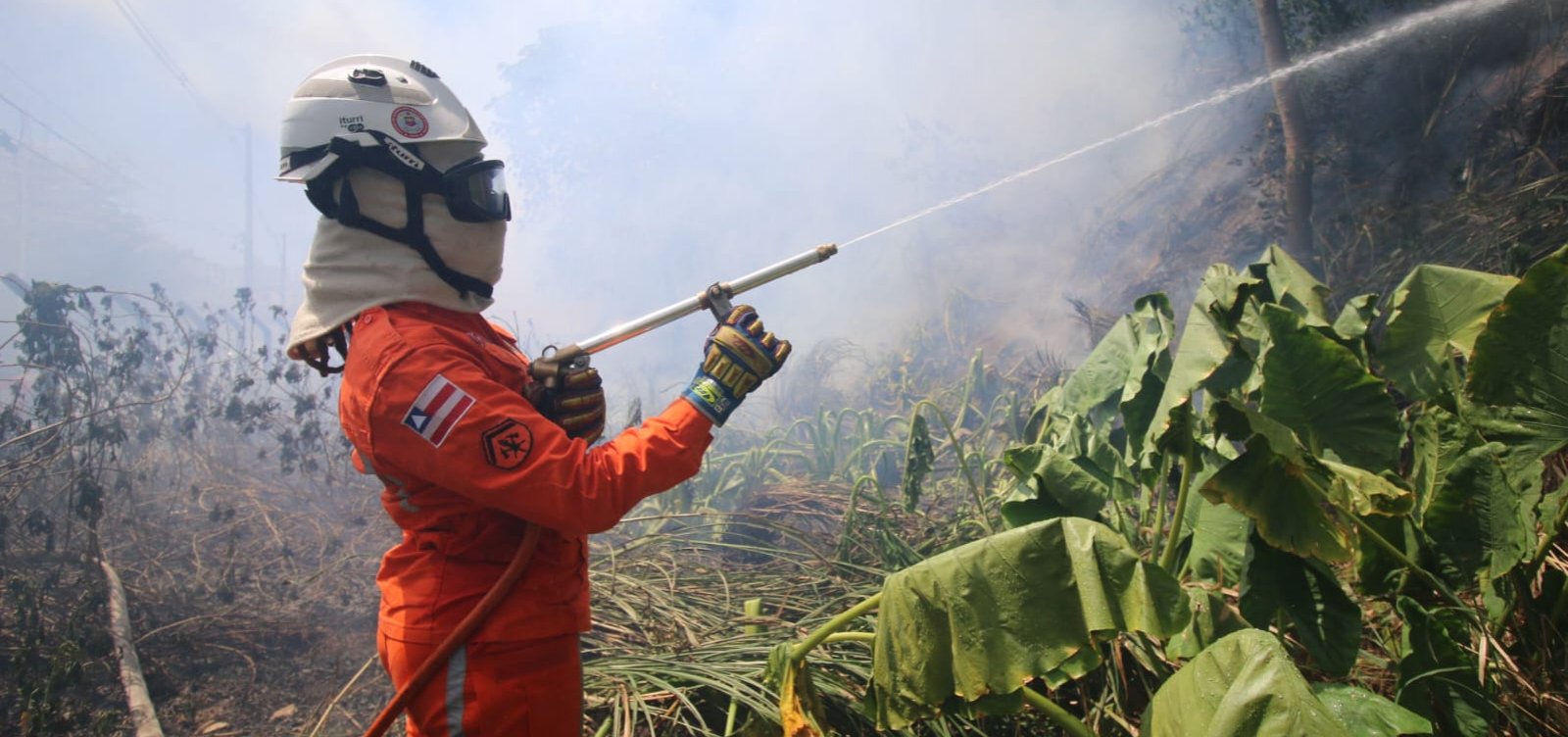 Bombeiros combatem 422 incêndios florestais na Bahia em dois meses