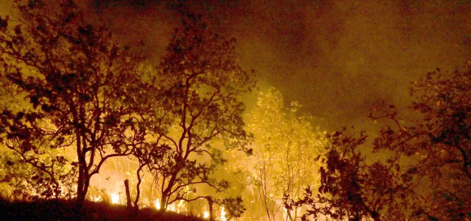 Polícia Federal investiga incêndios criminosos no Pantanal