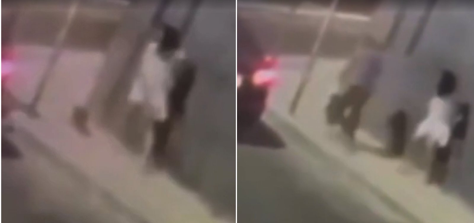 Homem armado rouba cachorro no bairro da Graça mas devolve animal