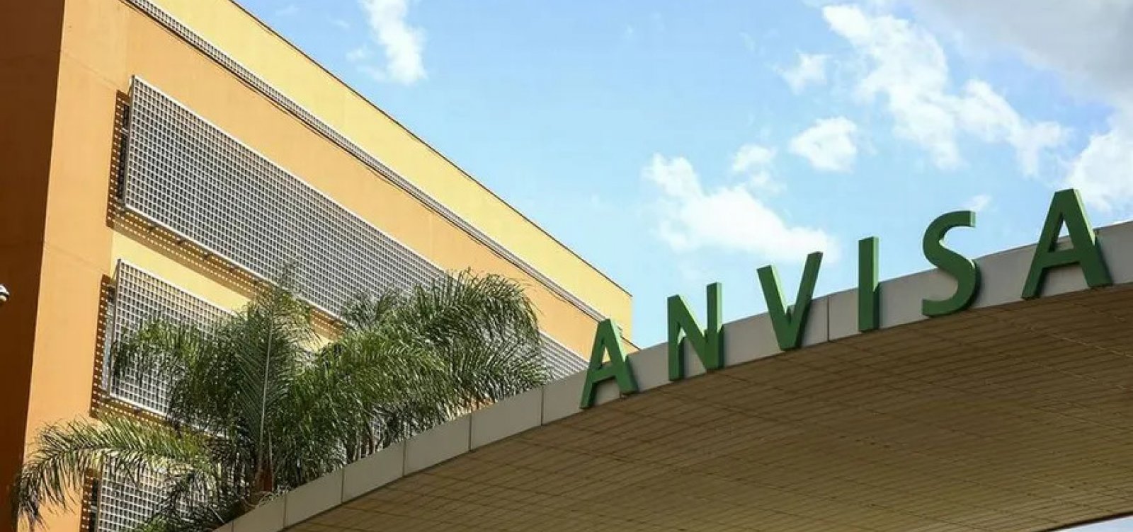 Anvisa proíbe venda de duas marcas de azeite no Brasil