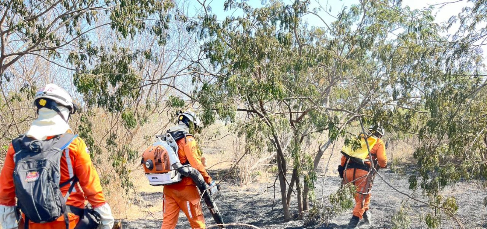 Doze municípios baianos registram incêndios florestais neste fim de semana