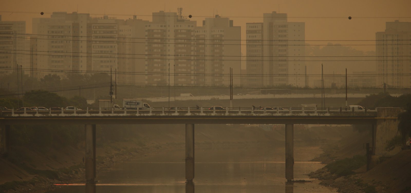 Queimadas crescem em São Paulo, afetando 10 municípios