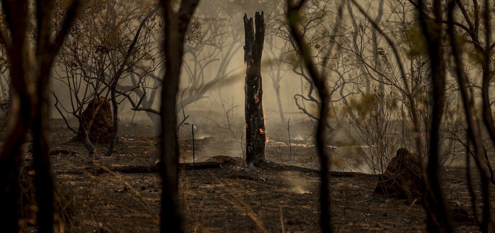 Incêndios atingem 22,38 milhões de hectares no Brasil em nove meses