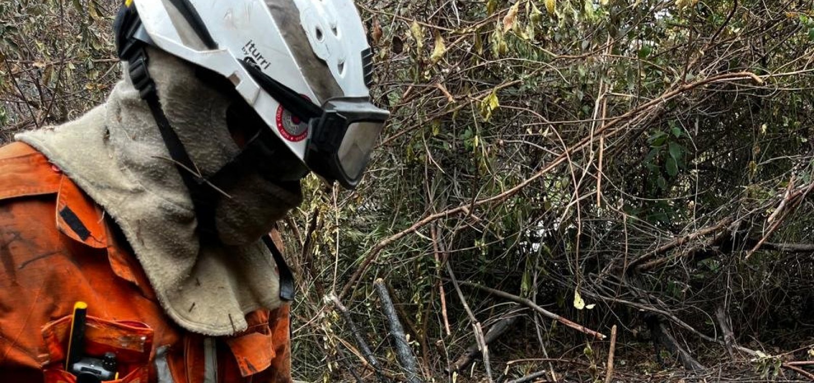 Bombeiros militares eliminaram mais de 800 incêndios florestais na Bahia