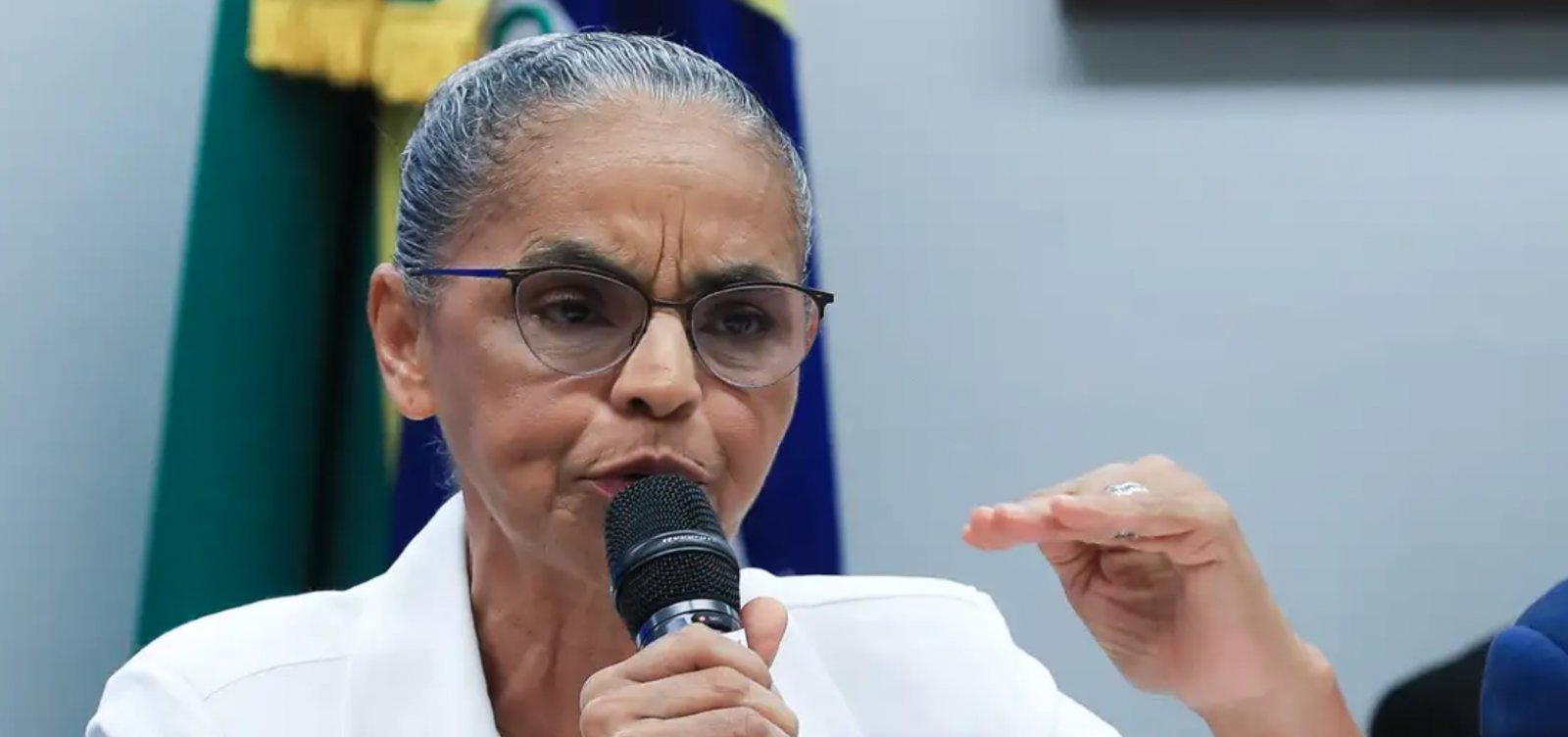 Marina Silva destaca responsabilidade das empresas privadas na prevenção de incêndios